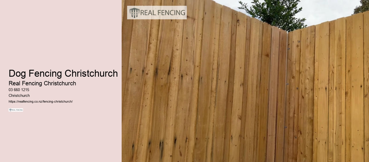 Dog Fencing Christchurch