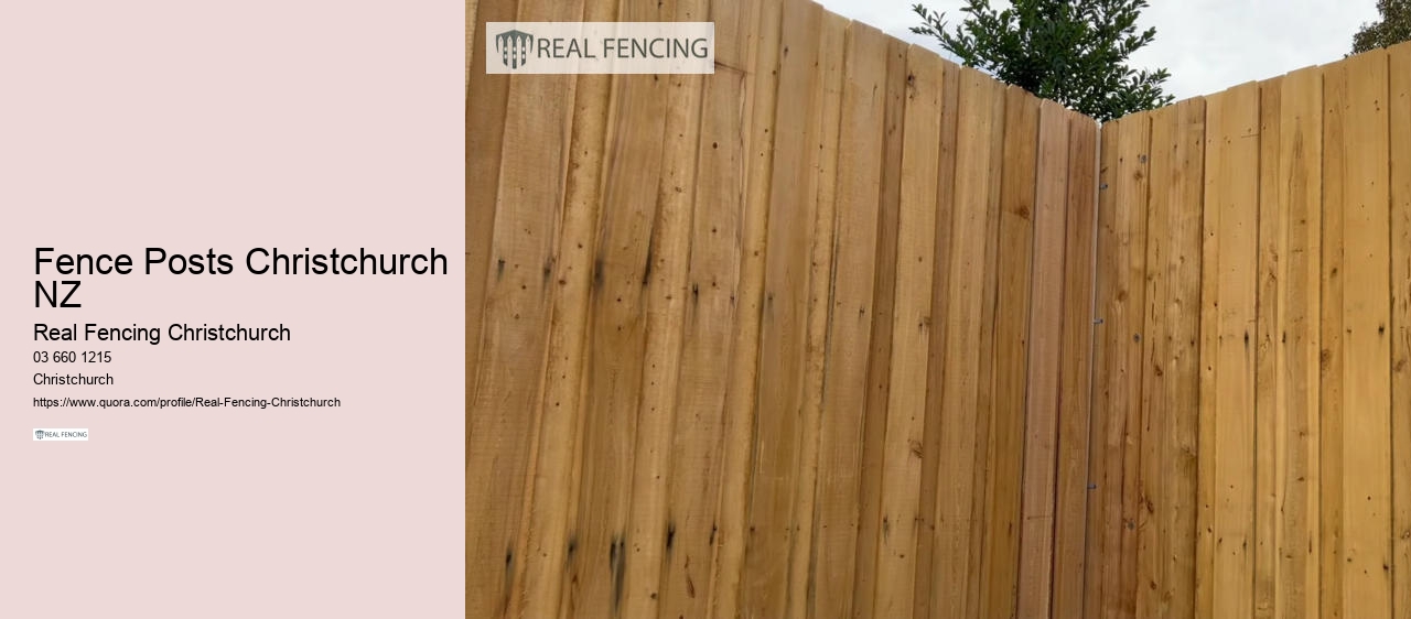 pool fence christchurch